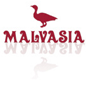 Malvasia